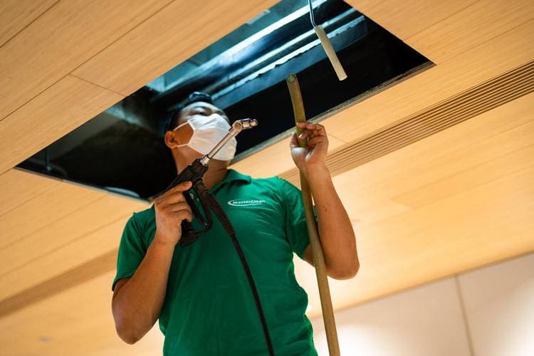 loai bo mui van phong (3)