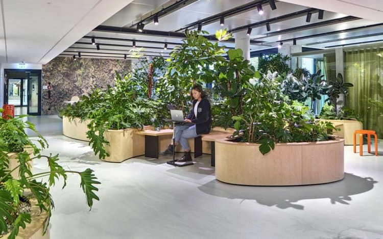 loi ich cay xanh noi van phong (2)