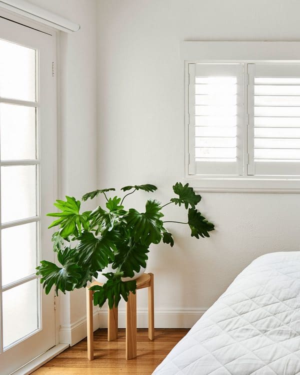 trang tri can ho nho (15)